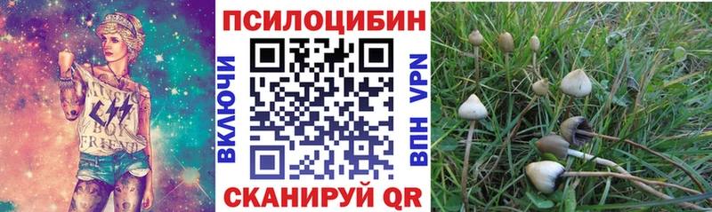 даркнет сайт Покачи Псилоцибиновые грибы Magic Shrooms